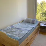 Habitación en casa particular Ferien/ Monteurzimmer Mit Gemeinsam Wozi, Kü, Bad, Wlan