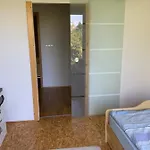Ferien/ Monteurzimmer Mit Gemeinsam Wozi, Kü, Bad, Wlan *